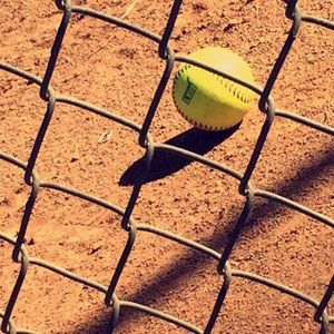 Meet your Posher, Skye